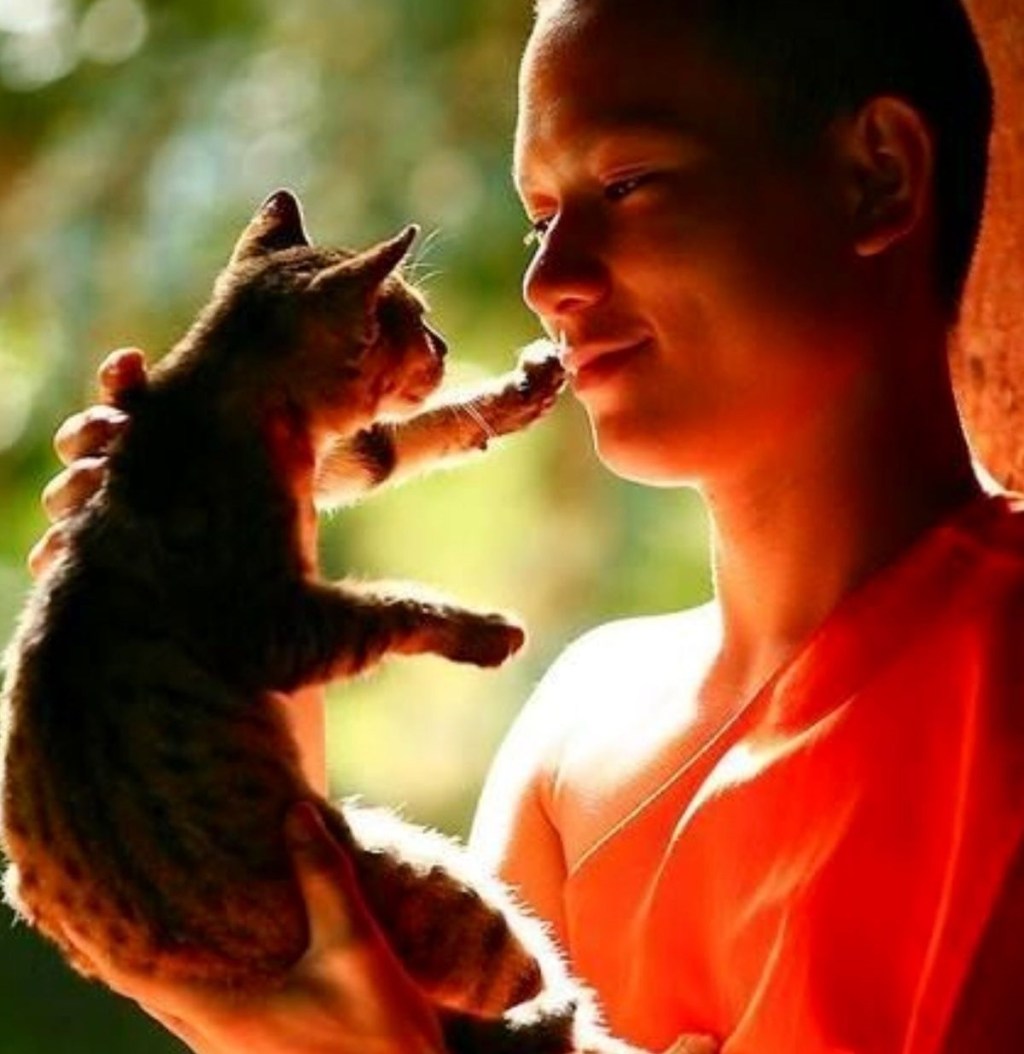 Noi, Anime radiose in terra.